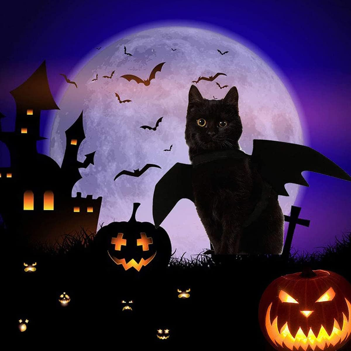 Halloween Pet Bat Wings Cat Dog Bat Costume Cute Black Cat Bat Wings Cosplay Puppy Cat Dress up Accessories