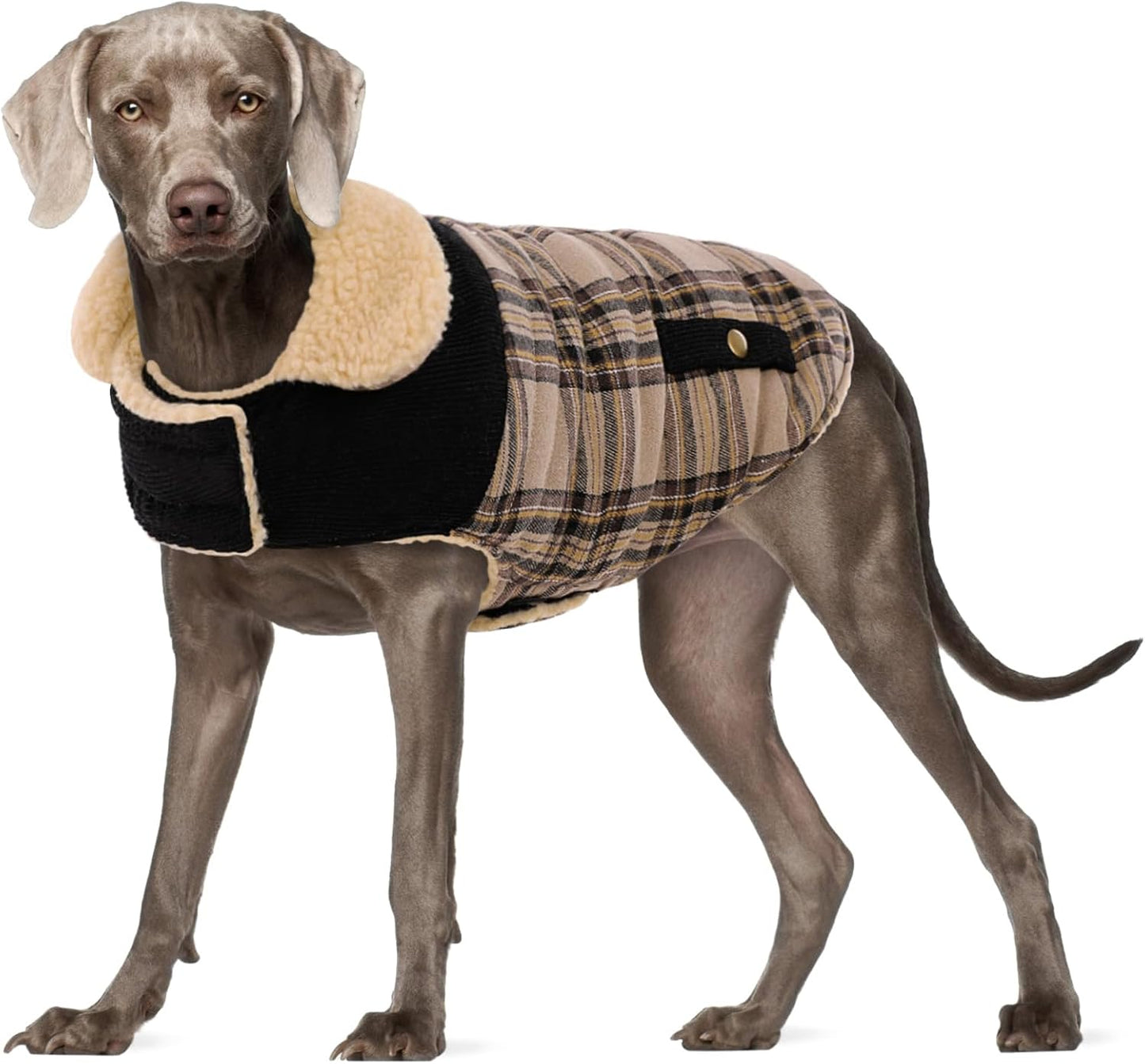 Dog Winter Coat for Small Dogs, Puppy Solid Jacket, Pet Warm Coat for Cold Weather, Windproof Pets Thickened Outfits Garments Indoor Outdoor, Beige XS