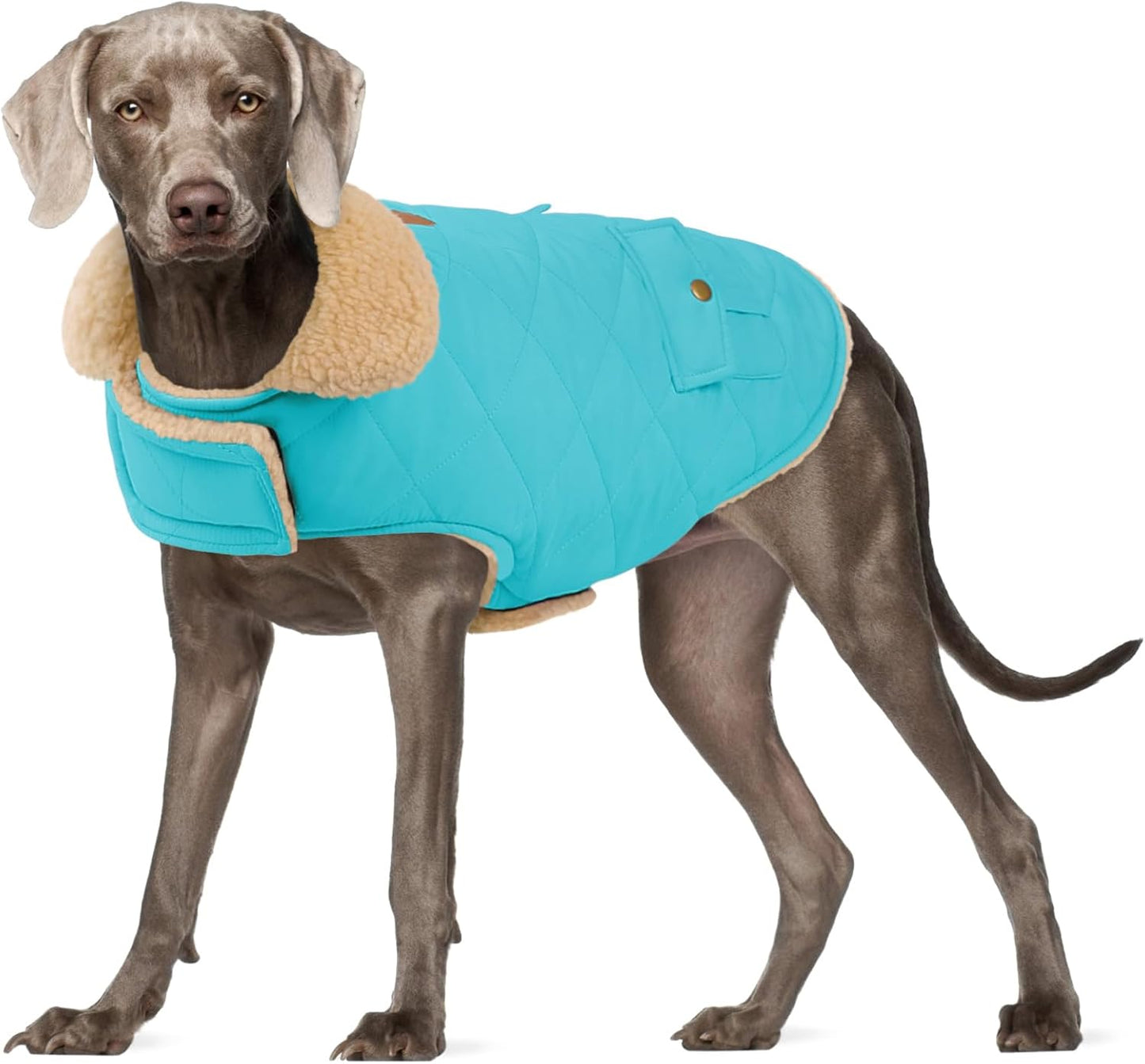 Dog Winter Coat for Small Dogs, Puppy Solid Jacket, Pet Warm Coat for Cold Weather, Windproof Pets Thickened Outfits Garments Indoor Outdoor, Beige XS