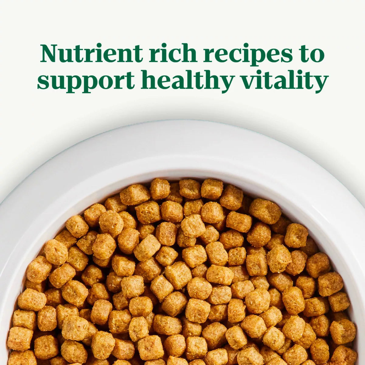 Nutro Wholesome Nutrition Natural Choice Essentials Chicken, Brown Rice and Sweet Potato Flavor Small Breed Adult Dry Dog Food