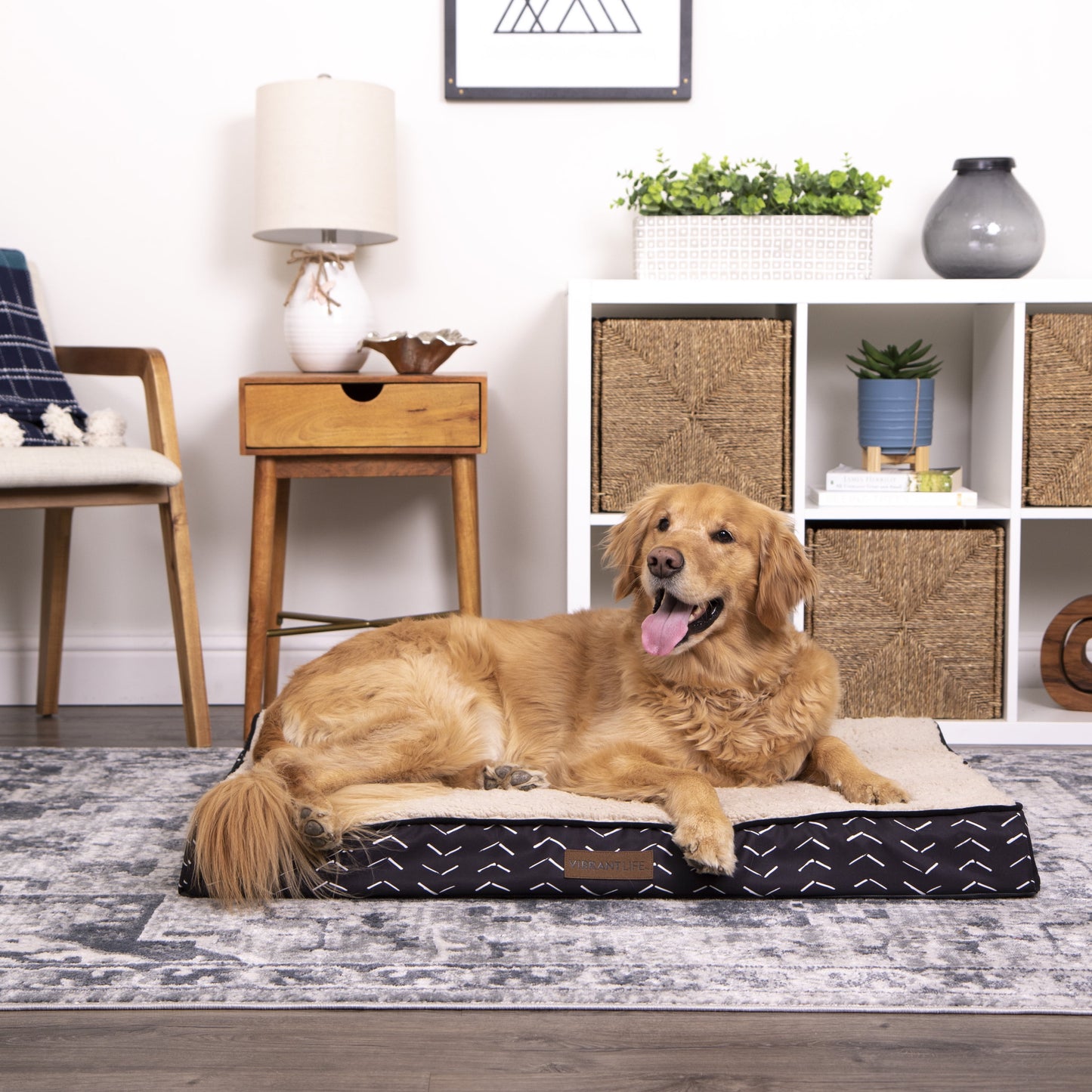Orthopedic Mattress Edition Pet Bed, Large 40" X 30", Comfort for Dogs up to 70 Lbs