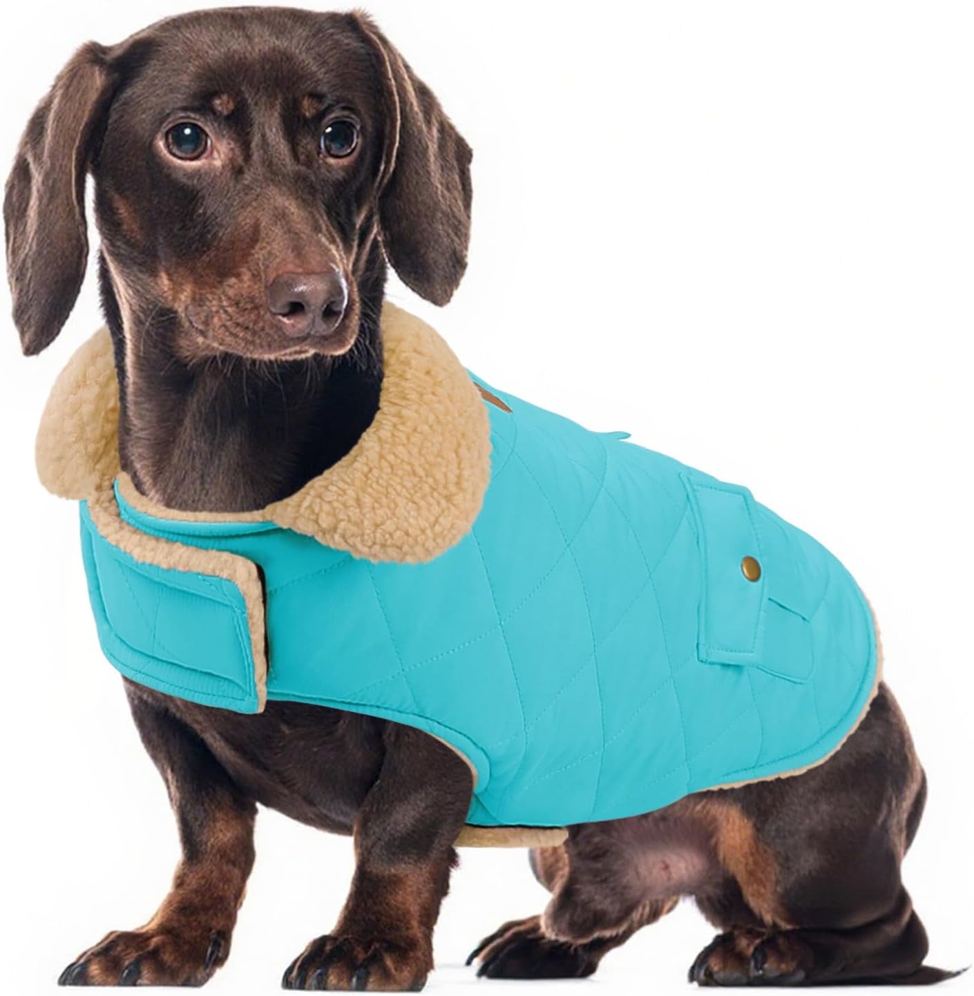 Dog Winter Coat for Small Dogs, Puppy Solid Jacket, Pet Warm Coat for Cold Weather, Windproof Pets Thickened Outfits Garments Indoor Outdoor, Beige XS