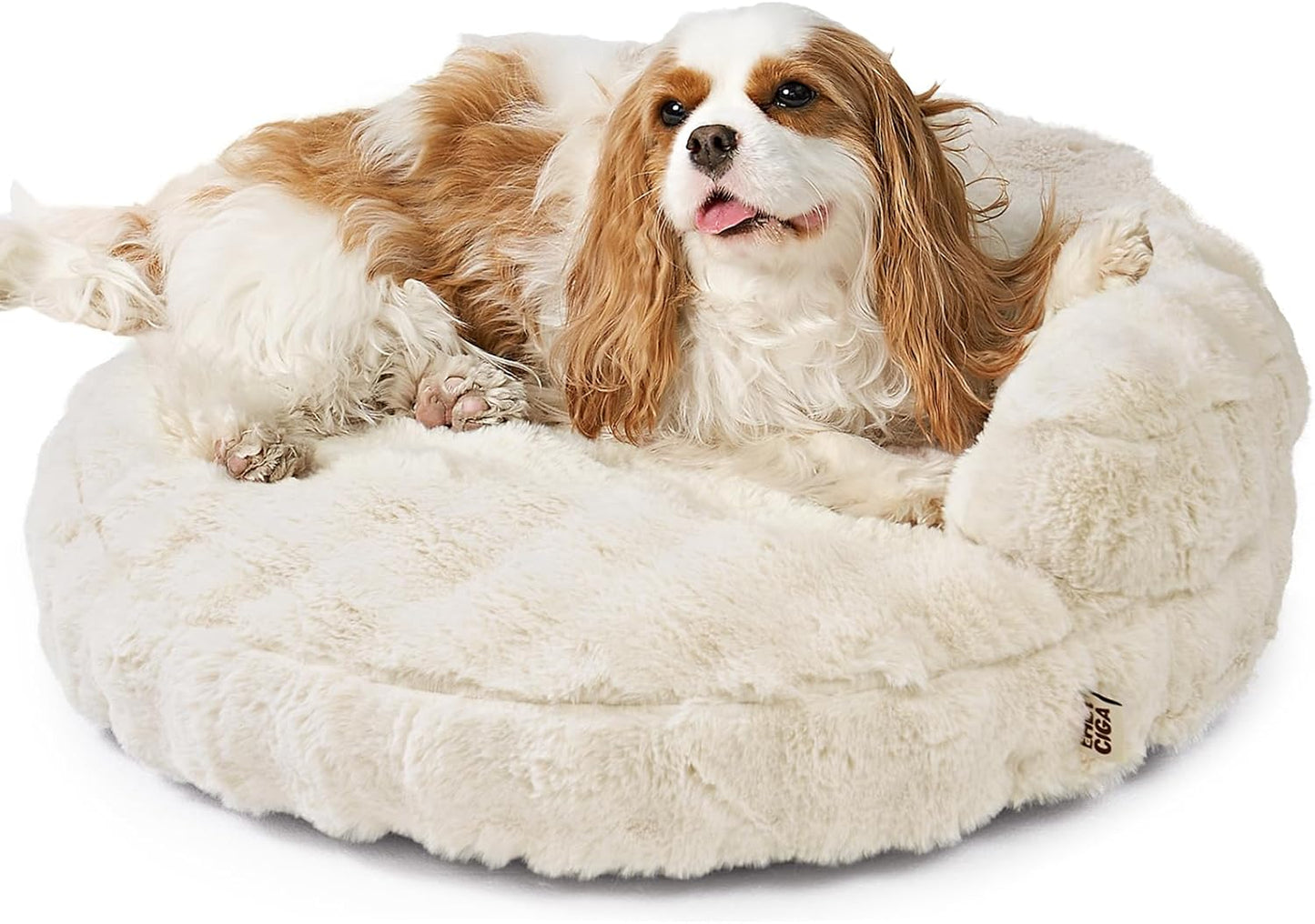 Small Dog Bed and Cat Couch for Puppy and Kitten - Fluffy Faux Rabbit Fur Pet Sofa with Washable Removable Cover, Waterproof and Non-Slip, 23 Inch Cream