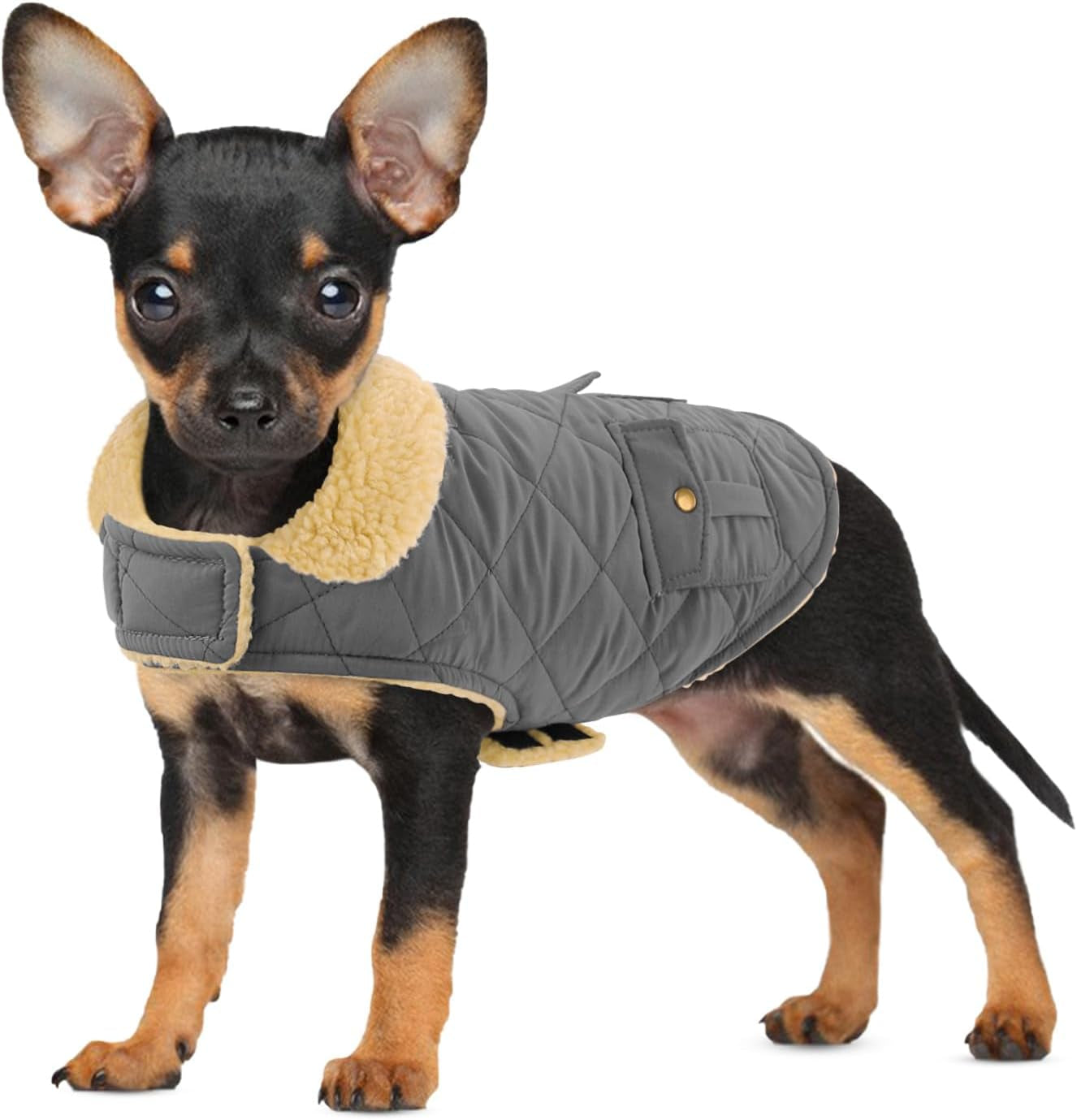 Dog Winter Coat for Small Dogs, Puppy Solid Jacket, Pet Warm Coat for Cold Weather, Windproof Pets Thickened Outfits Garments Indoor Outdoor, Beige XS