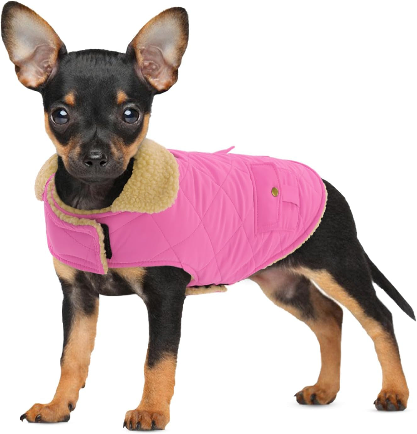 Dog Winter Coat for Small Dogs, Puppy Solid Jacket, Pet Warm Coat for Cold Weather, Windproof Pets Thickened Outfits Garments Indoor Outdoor, Beige XS