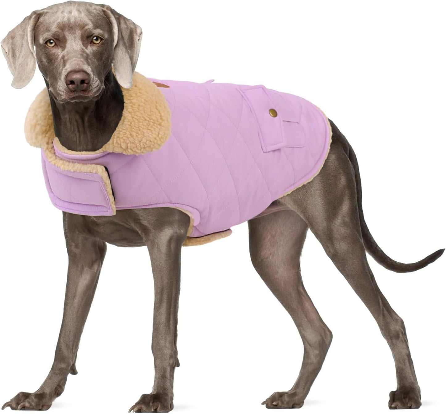 Dog Winter Coat for Small Dogs, Puppy Solid Jacket, Pet Warm Coat for Cold Weather, Windproof Pets Thickened Outfits Garments Indoor Outdoor, Beige XS