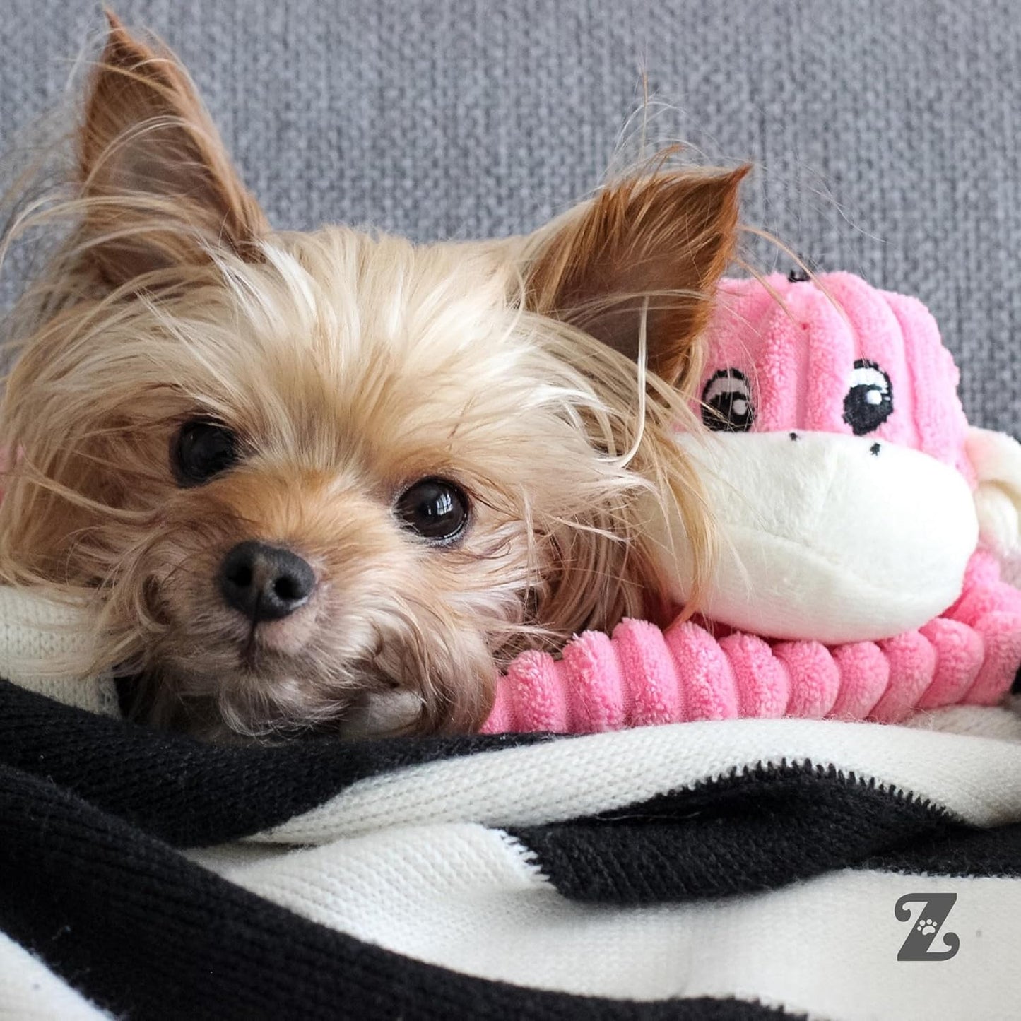 Crinkle Monkey - Interactive Dog Toys to Keep Them Busy, Squeaky Plush Pet Toy for All Breeds, Cute Gift for Small and Medium Dogs, Contains 1 round Squeaker - Small, Pink