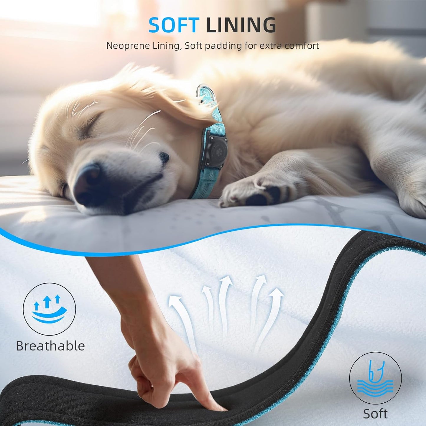 Upgraded Airtag Dog Collar, IP68 Waterproof Air Tag Dog Collar Holder, Reflective, Ultra-Durable, Comfortable Padded, Heavy Duty Dog Collars for Small Medium Large Dogs (XL (15.6"-22"), Blue)