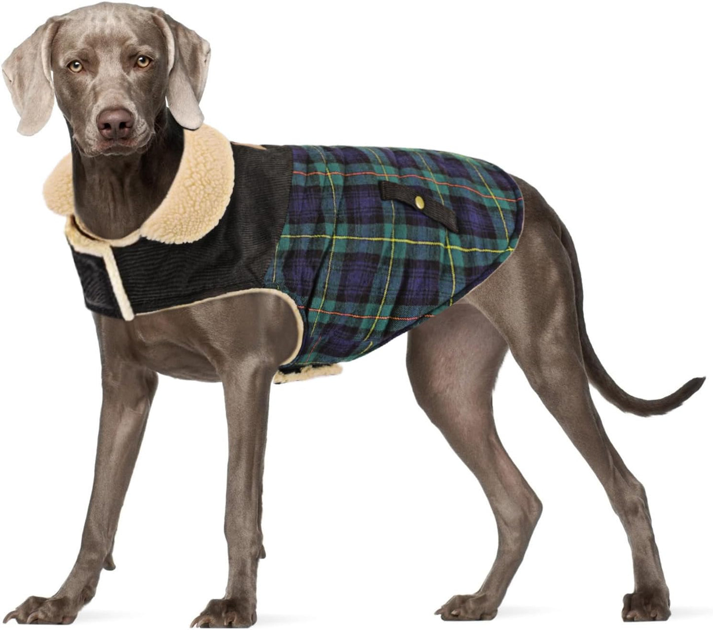 Dog Winter Coat for Small Dogs, Puppy Solid Jacket, Pet Warm Coat for Cold Weather, Windproof Pets Thickened Outfits Garments Indoor Outdoor, Beige XS