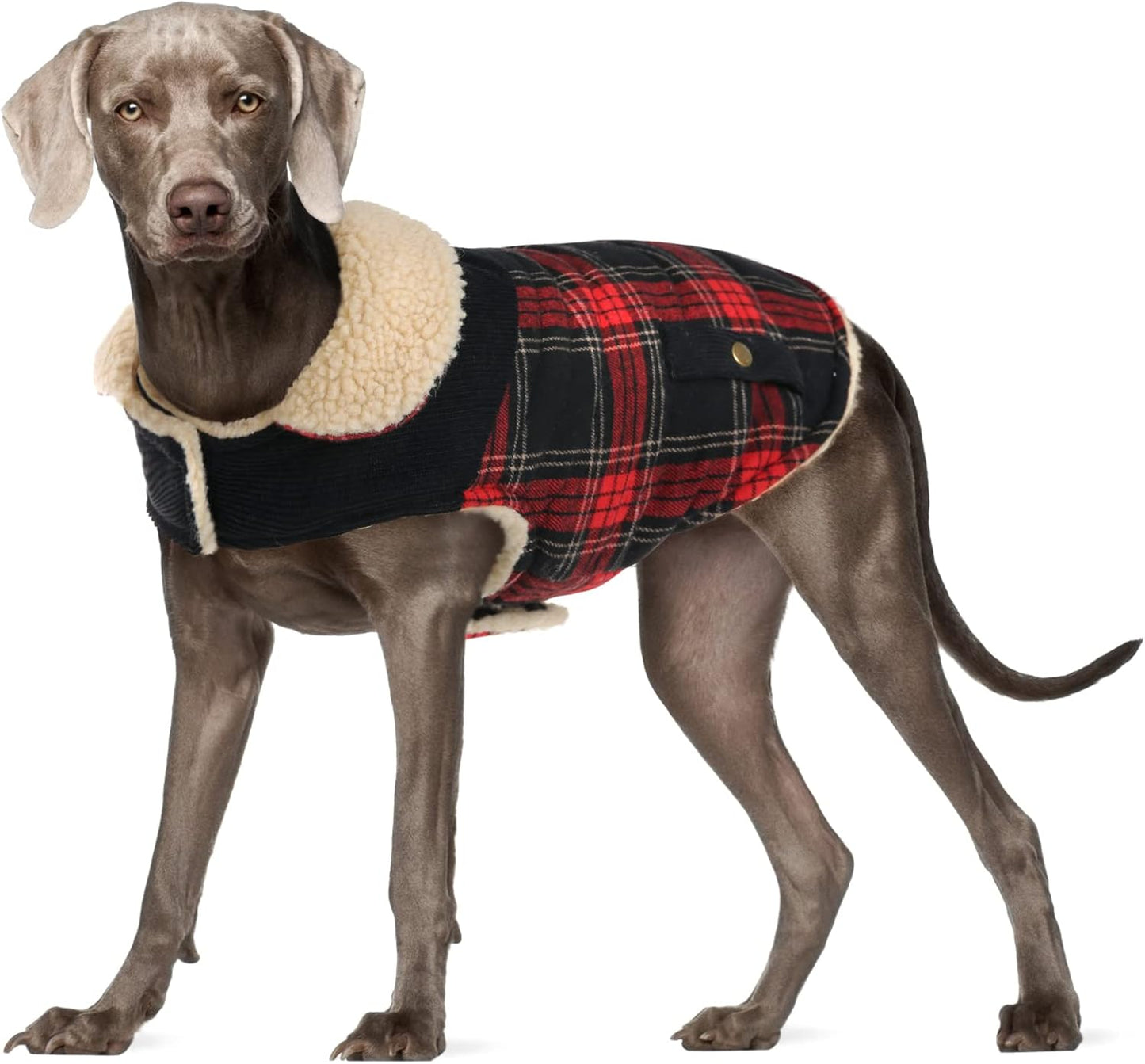 Dog Winter Coat for Small Dogs, Puppy Solid Jacket, Pet Warm Coat for Cold Weather, Windproof Pets Thickened Outfits Garments Indoor Outdoor, Beige XS