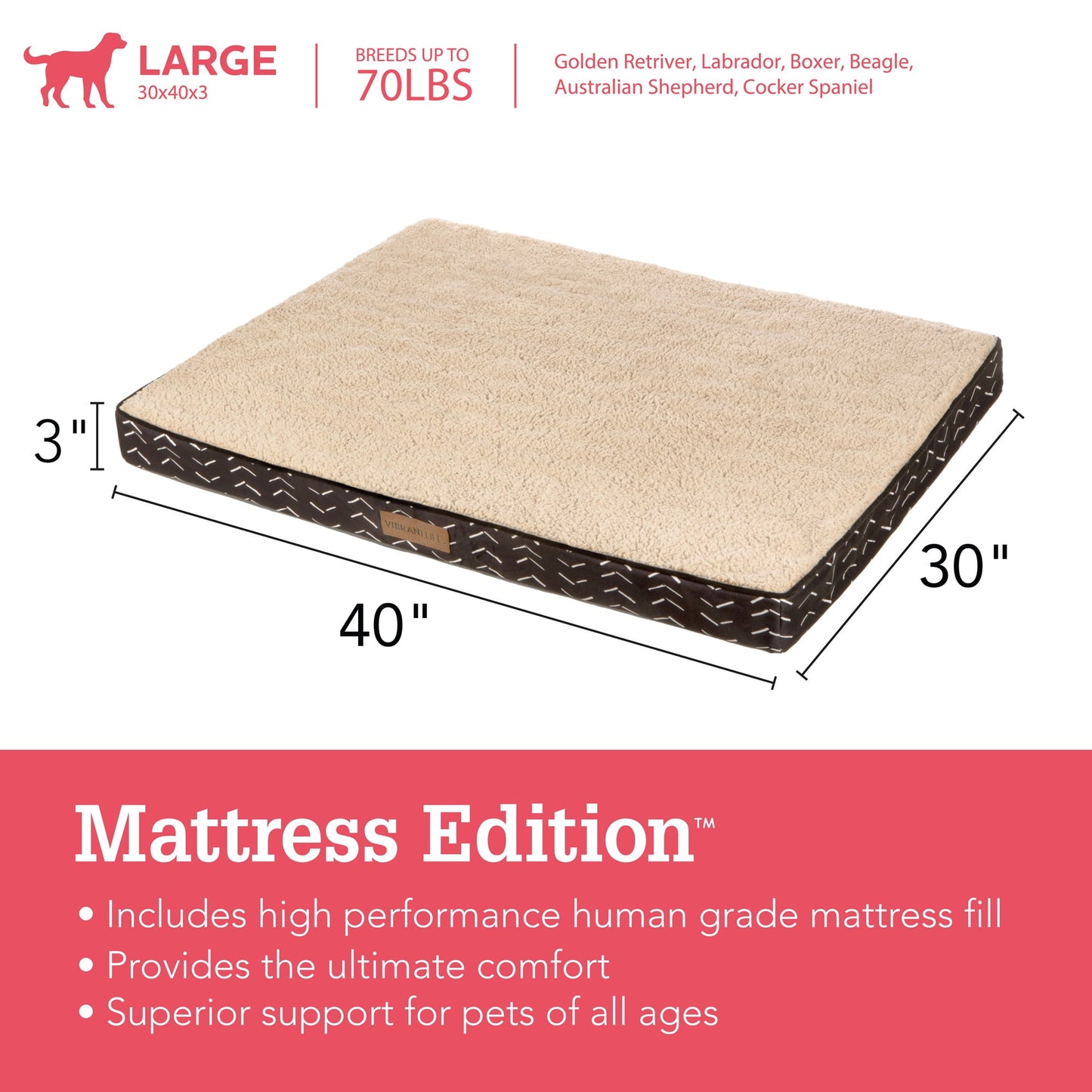 Orthopedic Mattress Edition Pet Bed, Large 40" X 30", Comfort for Dogs up to 70 Lbs
