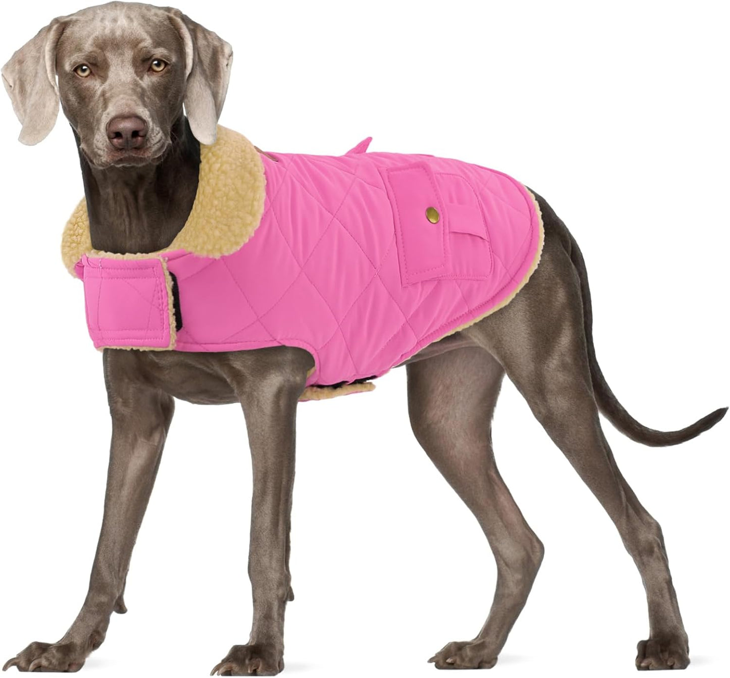 Dog Winter Coat for Small Dogs, Puppy Solid Jacket, Pet Warm Coat for Cold Weather, Windproof Pets Thickened Outfits Garments Indoor Outdoor, Beige XS