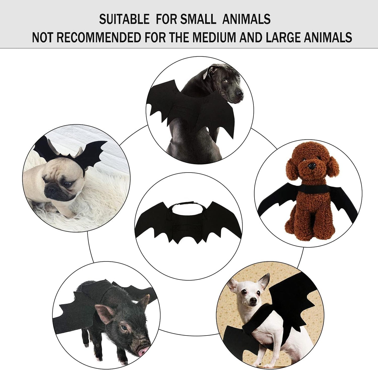 Halloween Pet Bat Wings Cat Dog Bat Costume Cute Black Cat Bat Wings Cosplay Puppy Cat Dress up Accessories