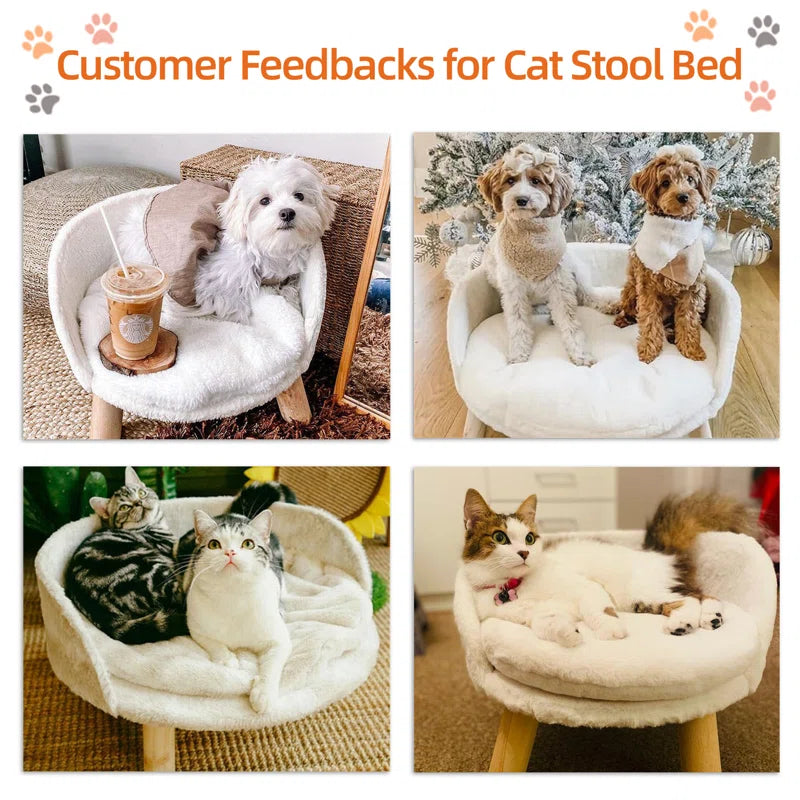 Nott Dog Sofa Cat Sofa Bed with Removeable Padded Cushion