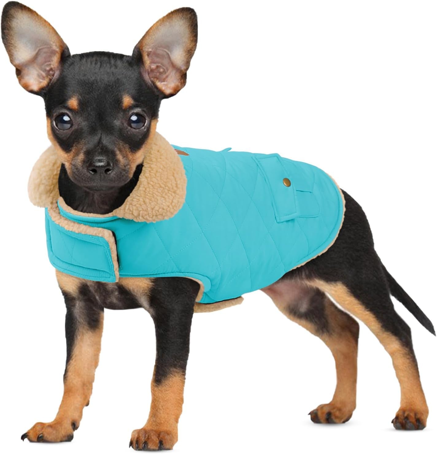 Dog Winter Coat for Small Dogs, Puppy Solid Jacket, Pet Warm Coat for Cold Weather, Windproof Pets Thickened Outfits Garments Indoor Outdoor, Beige XS