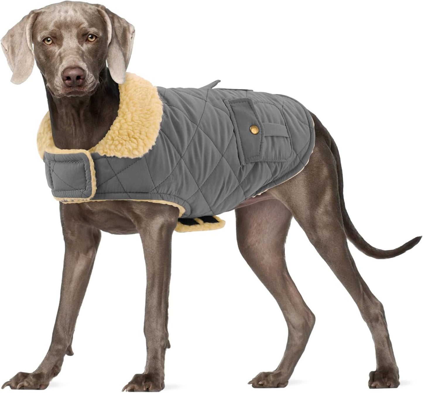 Dog Winter Coat for Small Dogs, Puppy Solid Jacket, Pet Warm Coat for Cold Weather, Windproof Pets Thickened Outfits Garments Indoor Outdoor, Beige XS