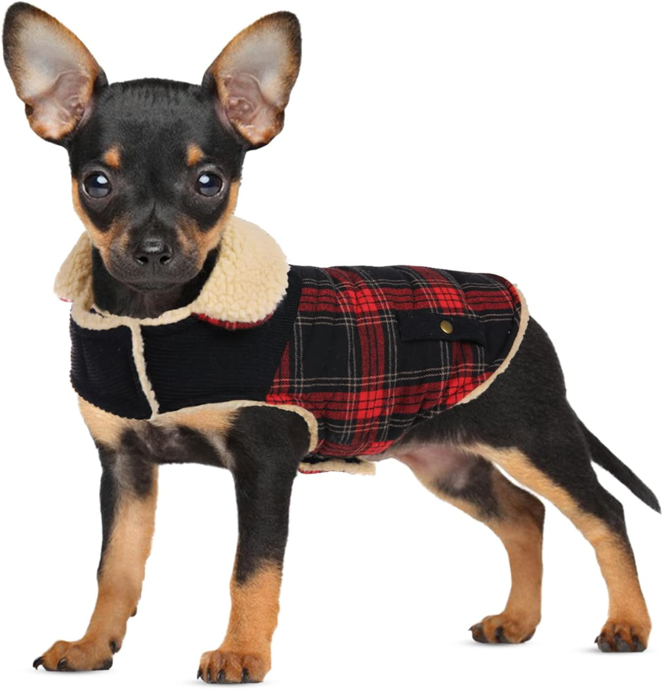 Dog Winter Coat for Small Dogs, Puppy Solid Jacket, Pet Warm Coat for Cold Weather, Windproof Pets Thickened Outfits Garments Indoor Outdoor, Beige XS