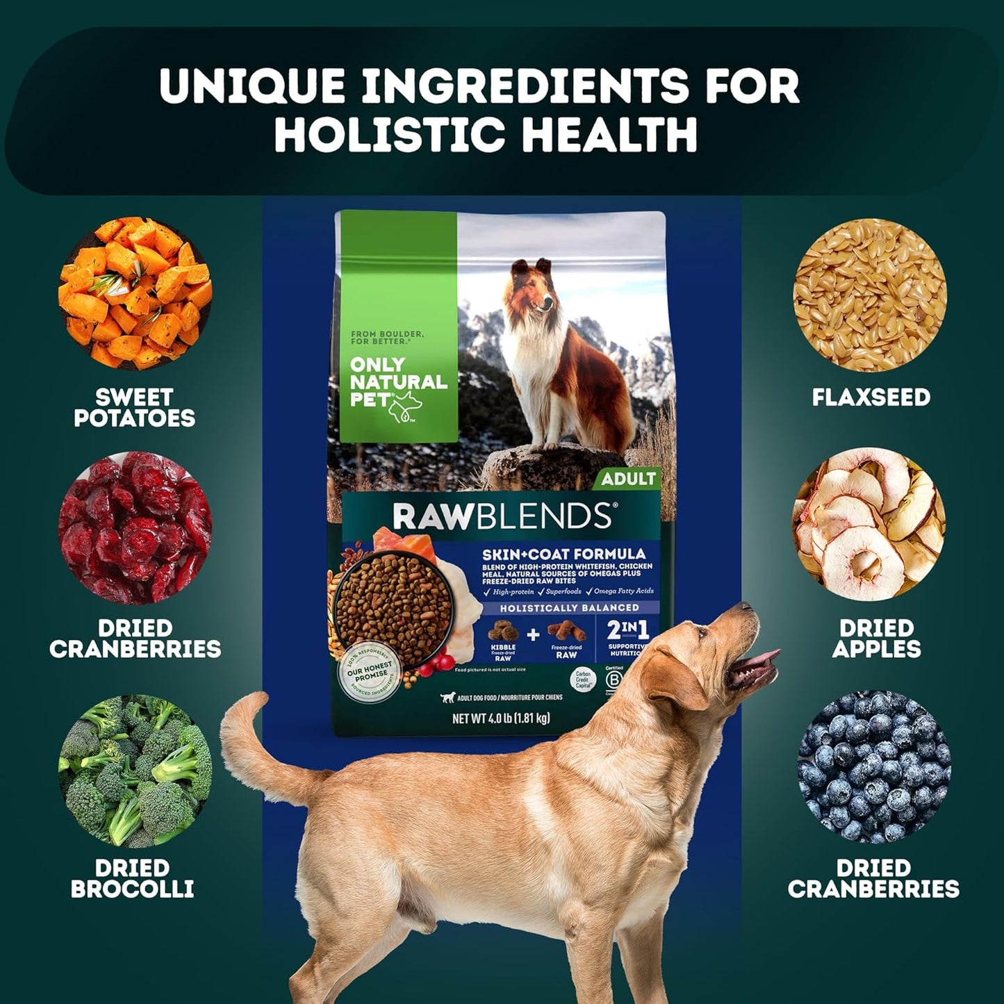 Raw Blends - High-Protein Dog Food with All-Natural Ingredients, Nutritious Whole Grains & 100% Raw Meat Bites for Balanced Nutrition & Holistic Health, Ideal for Large Breeds, 4 Lb