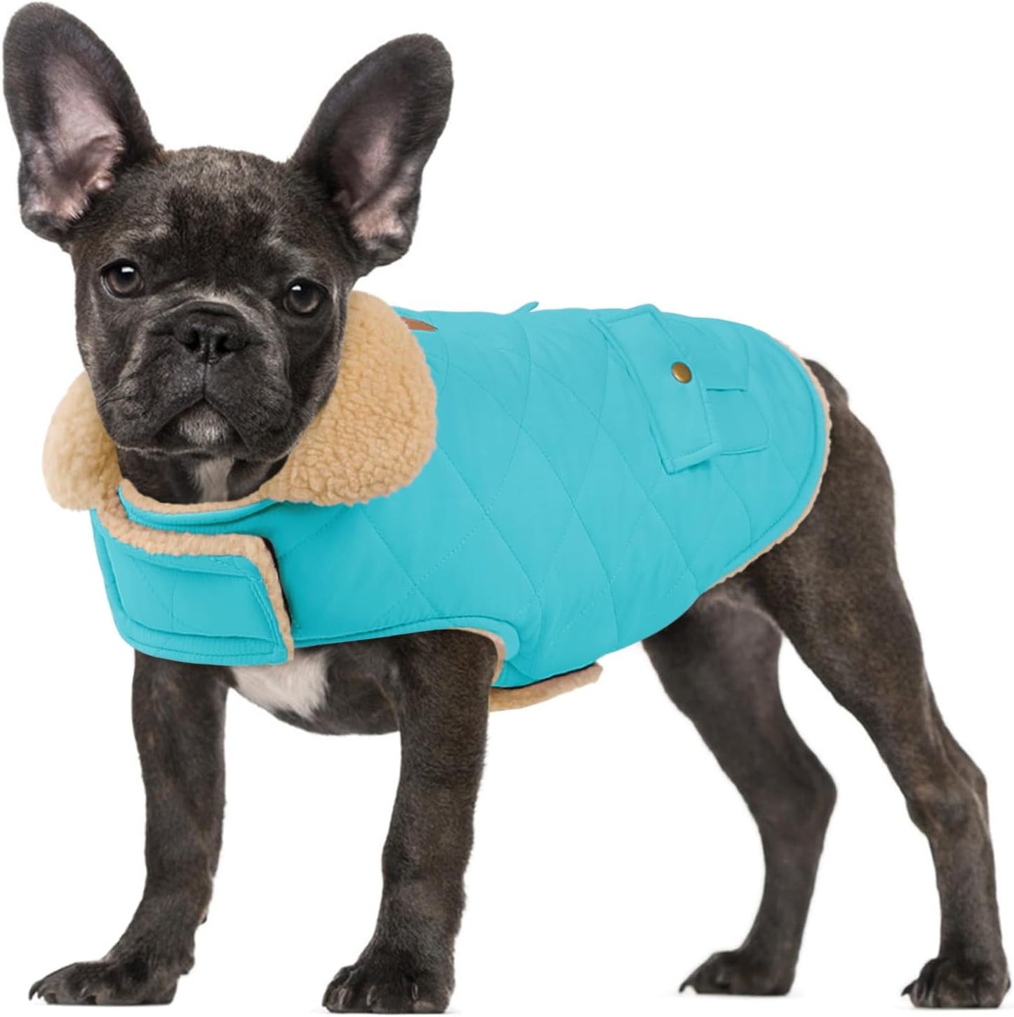 Dog Winter Coat for Small Dogs, Puppy Solid Jacket, Pet Warm Coat for Cold Weather, Windproof Pets Thickened Outfits Garments Indoor Outdoor, Beige XS