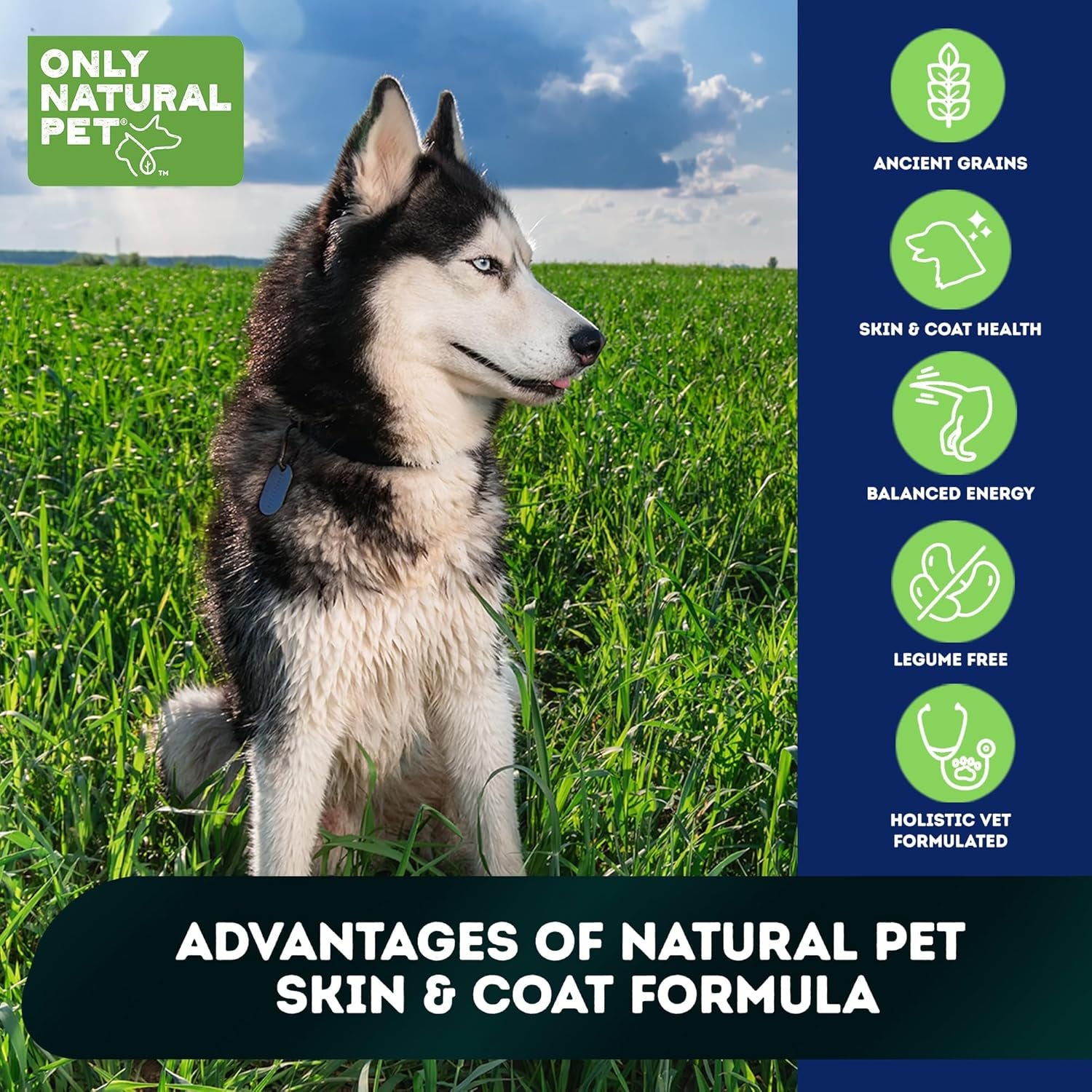 Raw Blends - High-Protein Dog Food with All-Natural Ingredients, Nutritious Whole Grains & 100% Raw Meat Bites for Balanced Nutrition & Holistic Health, Ideal for Large Breeds, 4 Lb