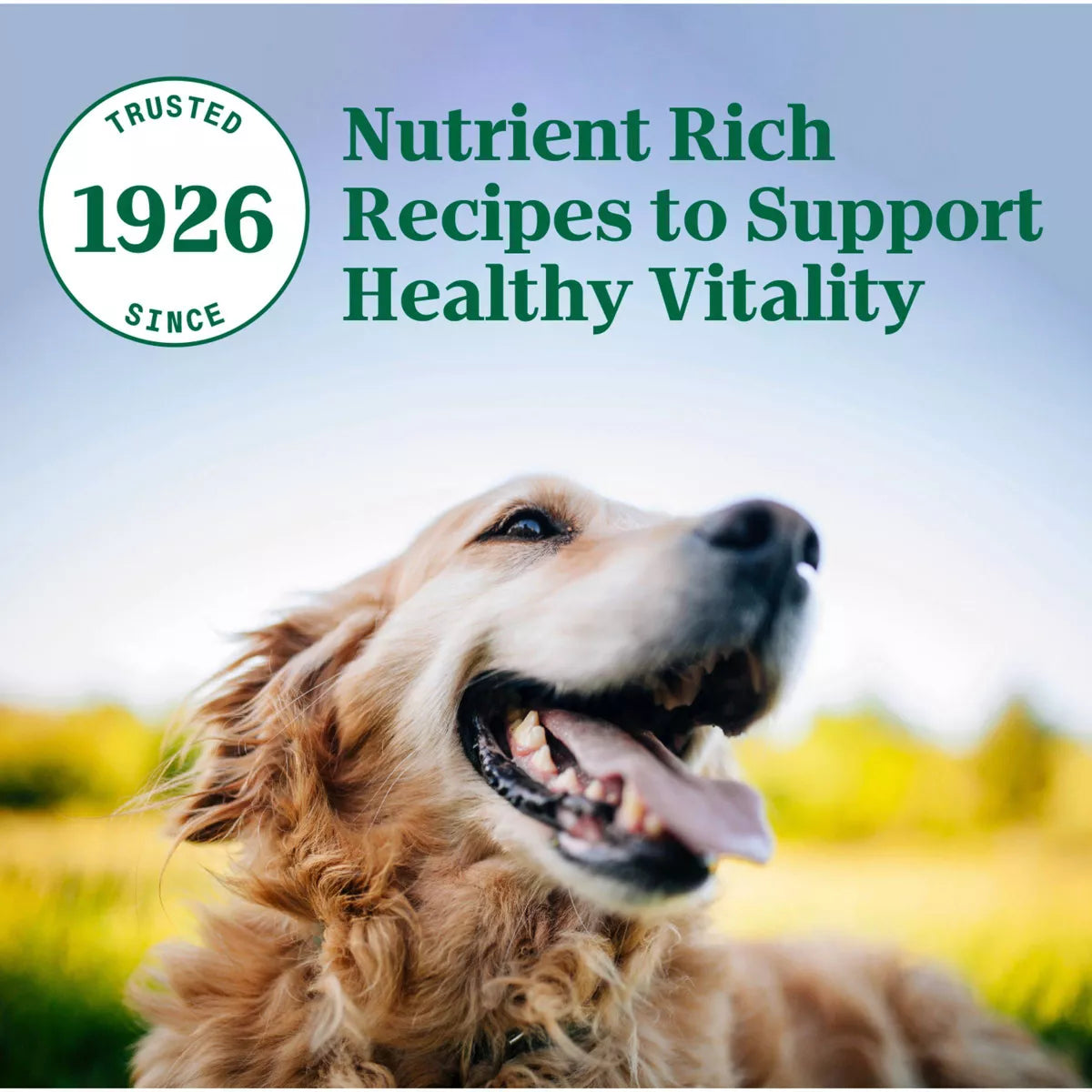 Nutro Natural Choice Chicken, Vegetable and Brown Rice Flavor Senior Dry Dog Food - 13Lbs
