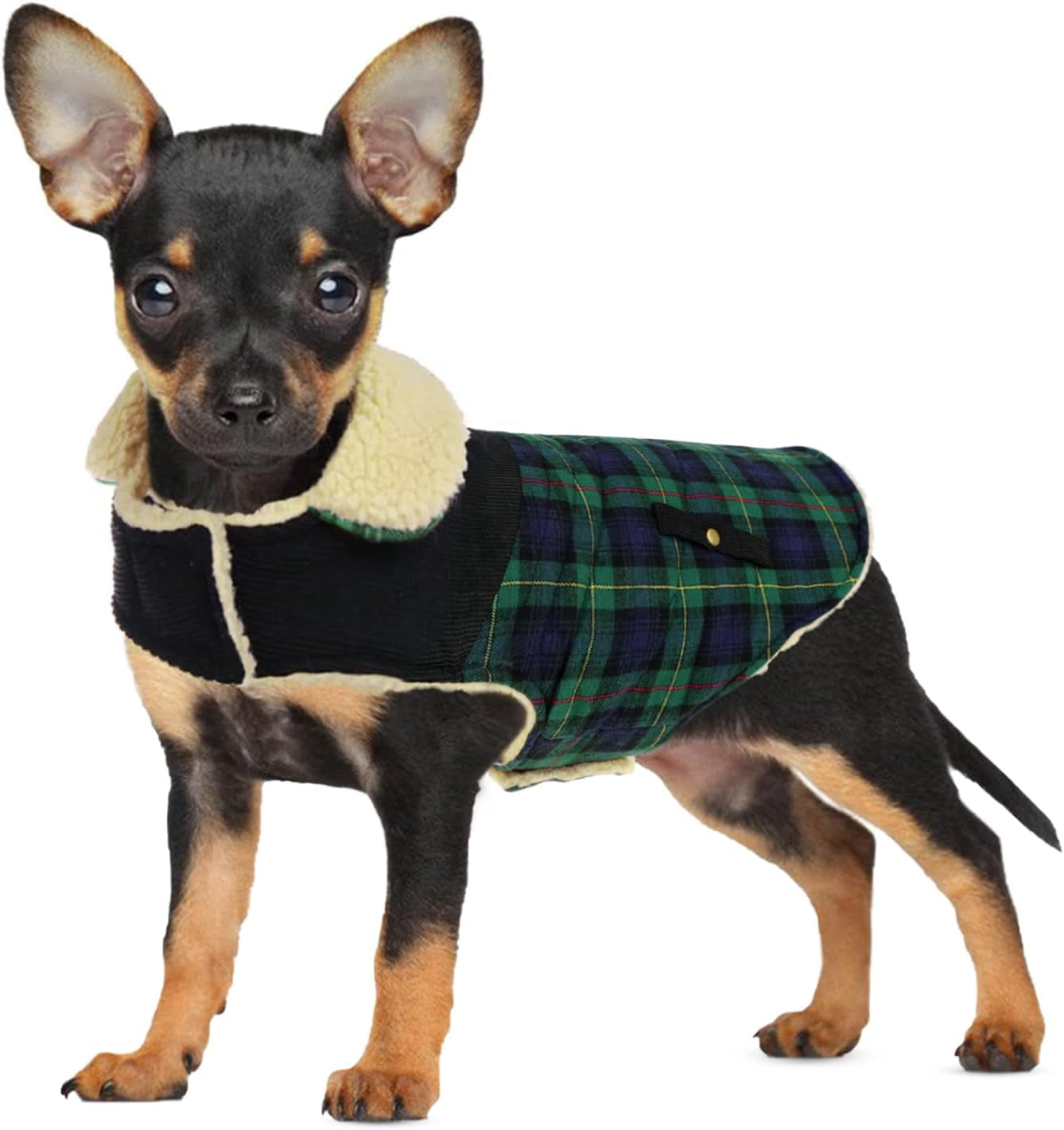 Dog Winter Coat for Small Dogs, Puppy Solid Jacket, Pet Warm Coat for Cold Weather, Windproof Pets Thickened Outfits Garments Indoor Outdoor, Beige XS