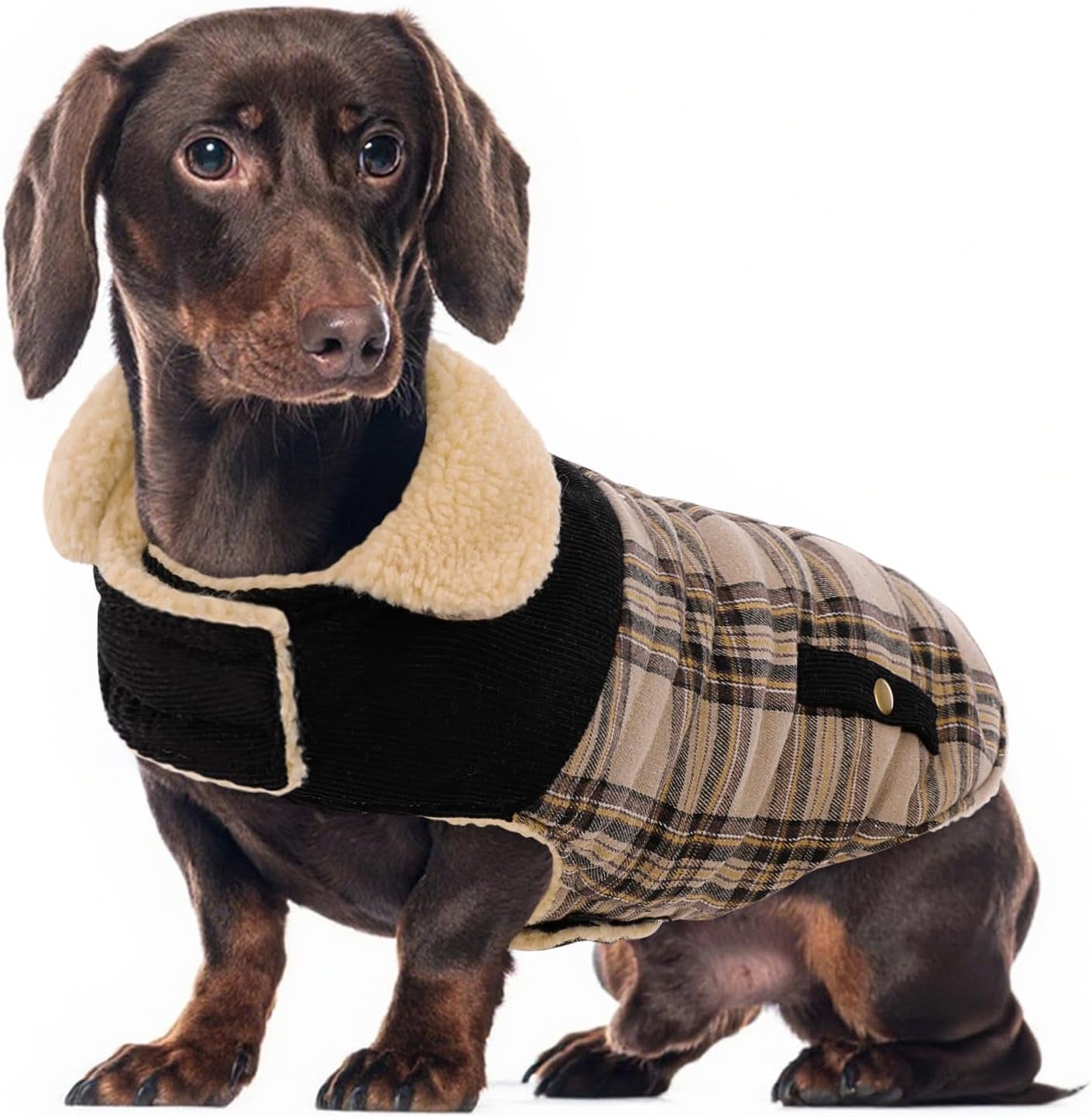 Dog Winter Coat for Small Dogs, Puppy Solid Jacket, Pet Warm Coat for Cold Weather, Windproof Pets Thickened Outfits Garments Indoor Outdoor, Beige XS
