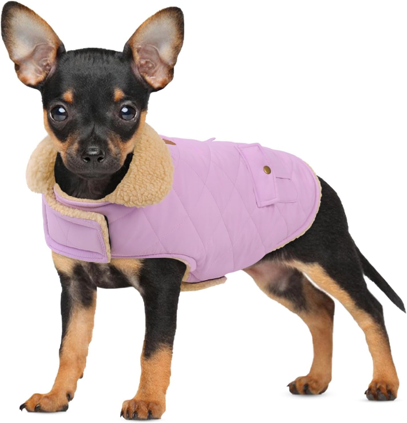 Dog Winter Coat for Small Dogs, Puppy Solid Jacket, Pet Warm Coat for Cold Weather, Windproof Pets Thickened Outfits Garments Indoor Outdoor, Beige XS