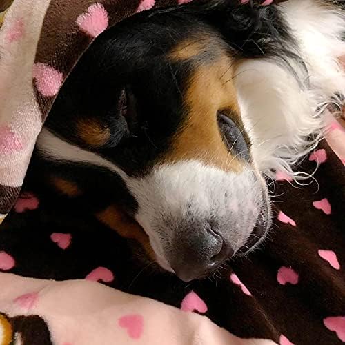 Blanket for Pets - Cozy Dog Blanket for Small Dogs - Machine Washable Dog Blanket