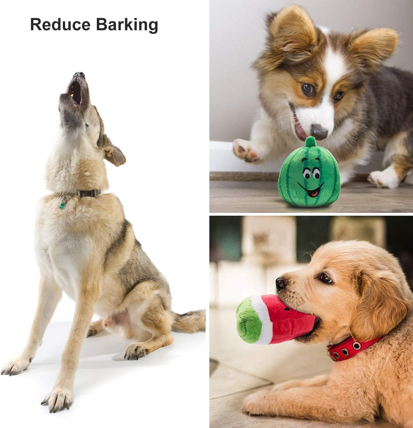 Dog Squeaky Toys, Plush Small Dog Toys for Dogs, Stuffed with Squeakers,12 Pcs Puppy Toys with a Carrying Bag for Small Medium Size