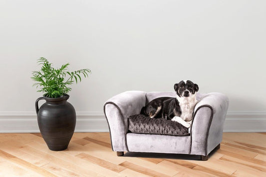 Westerhill Pet Sofa Bed, Charcoal, Medium, for Dogs and Cats All Medium and Small Breeds
