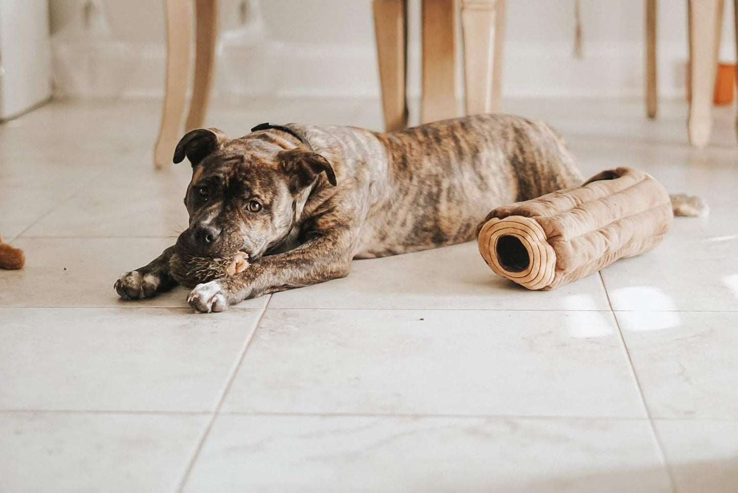 Burrow- Interactive Dog & Puppy Toys for Boredom, Stimulating Pet Products to Keep Them Busy, Hide & Seek Plush Dog Puzzles, Squeaky Toy for Enrichment, for Small & Medium Dogs- Chipmunk Log