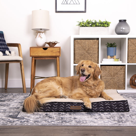 Orthopedic Mattress Edition Pet Bed, Large 40" X 30", Comfort for Dogs up to 70 Lbs
