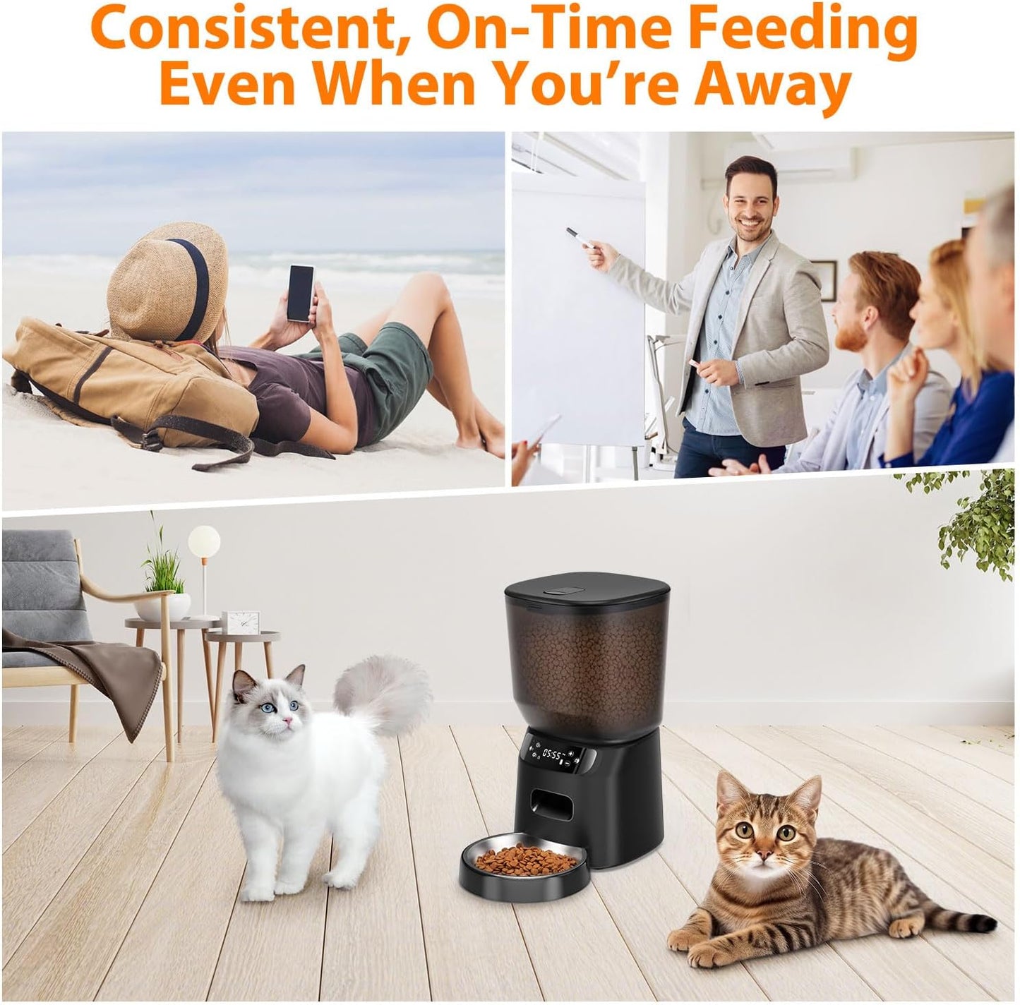 Automatic Cat Feeder, Cat Food Dispenser with Stainless Steel Bowl, Timed Portion Control 20 Portions 6 Meals per Day, Voice Recorder, Dual Power Supply for Small Dogs (Black)