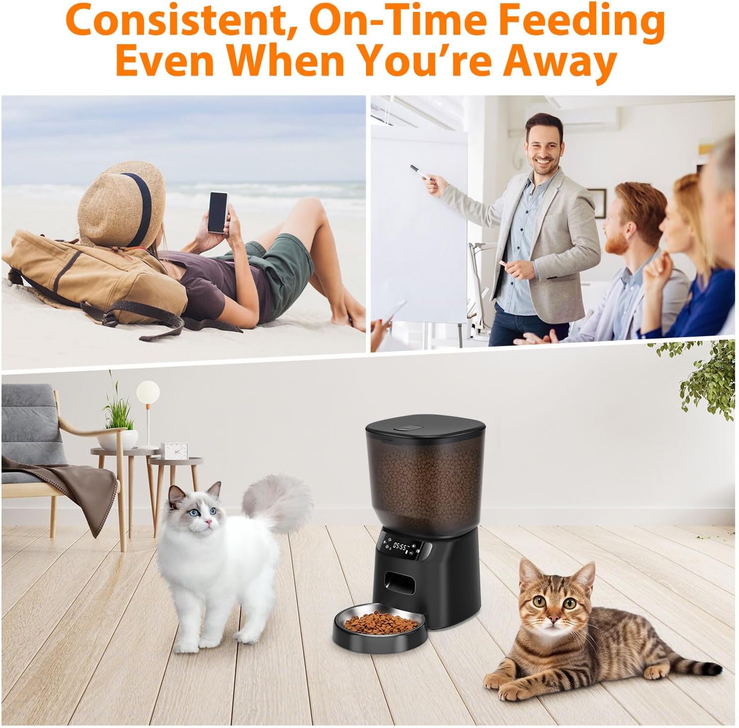 Automatic Cat Feeder, Cat Food Dispenser with Stainless Steel Bowl, Timed Portion Control 20 Portions 6 Meals per Day, Voice Recorder, Dual Power Supply for Small Dogs (Black)