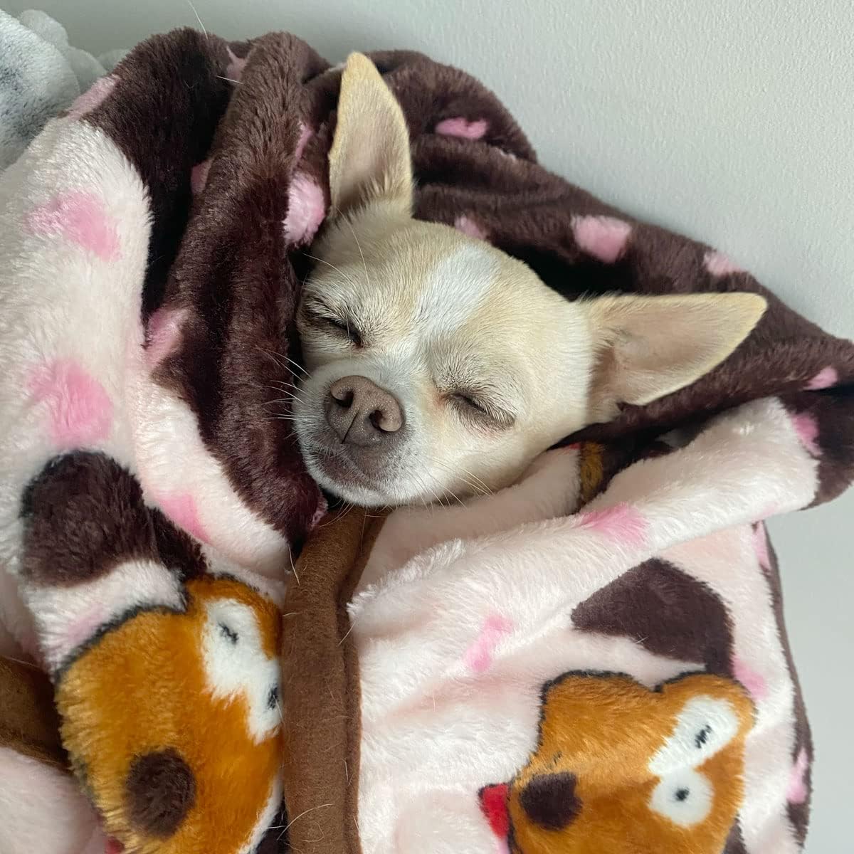 Blanket for Pets - Cozy Dog Blanket for Small Dogs - Machine Washable Dog Blanket