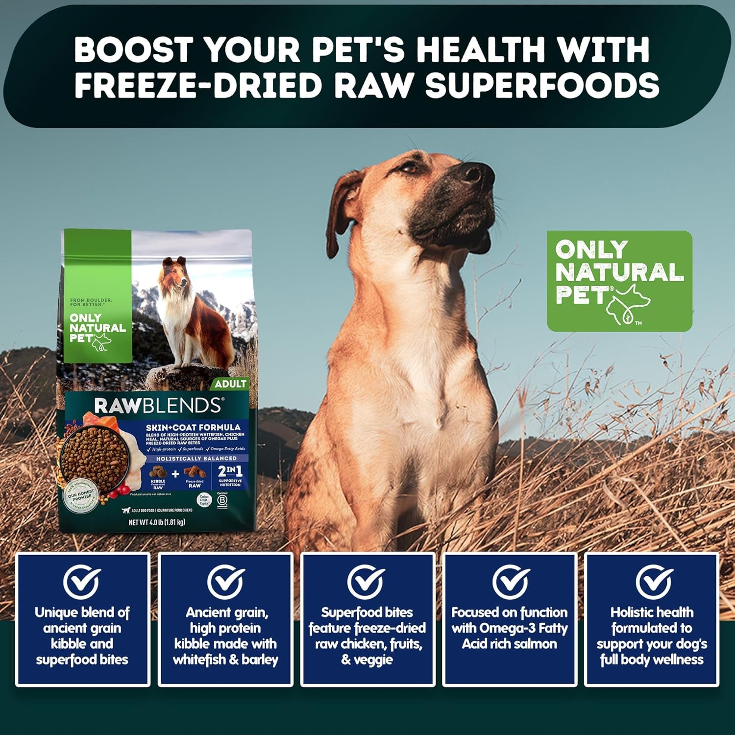 Raw Blends - High-Protein Dog Food with All-Natural Ingredients, Nutritious Whole Grains & 100% Raw Meat Bites for Balanced Nutrition & Holistic Health, Ideal for Large Breeds, 4 Lb