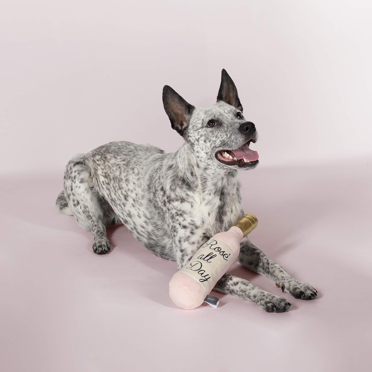 Studio Dog Toy, Rose All Day-Plush Pet Toy (289388) X-Small