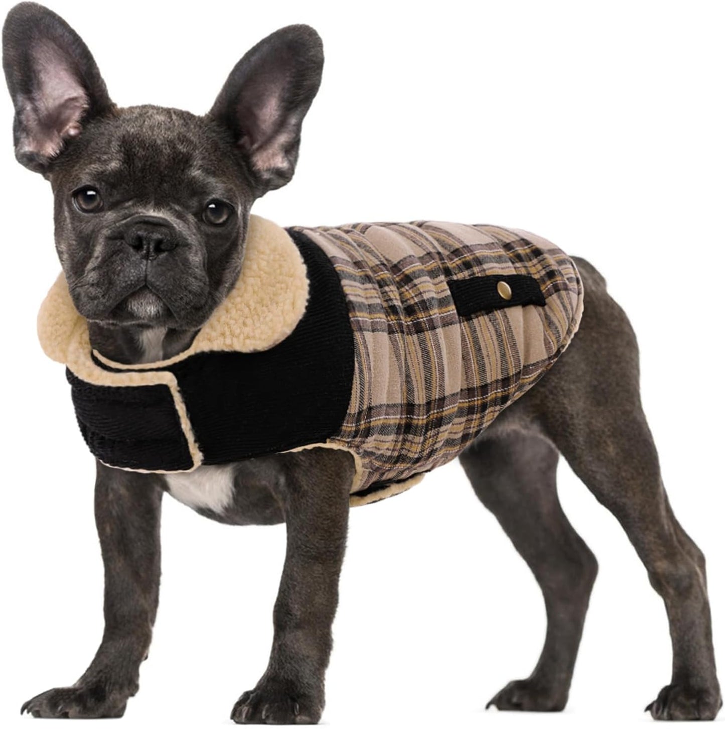 Dog Winter Coat for Small Dogs, Puppy Solid Jacket, Pet Warm Coat for Cold Weather, Windproof Pets Thickened Outfits Garments Indoor Outdoor, Beige XS