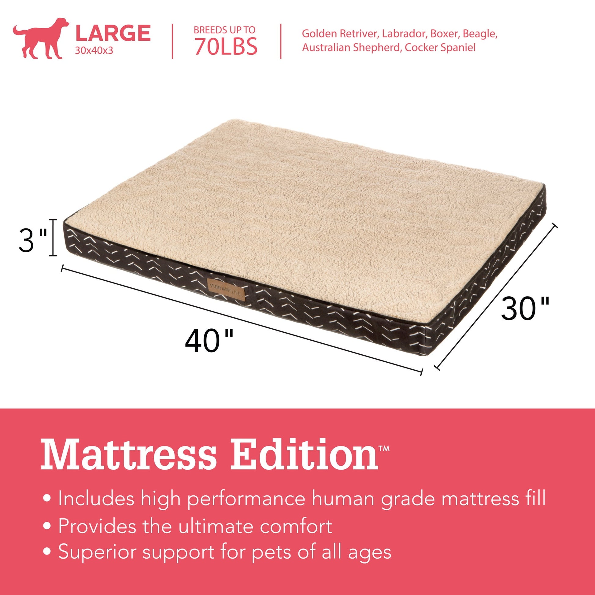 Orthopedic Mattress Edition Pet Bed, Large 40" X 30", Comfort for Dogs up to 70 Lbs