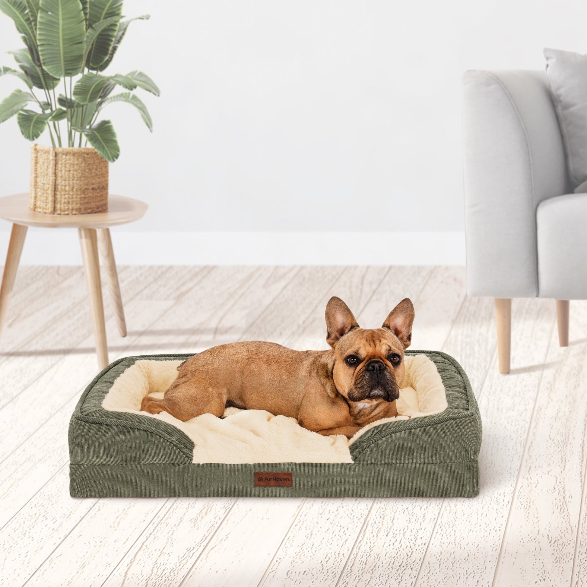 Pet Products Medium Nest-Top Perfect Comfort Sofa Orthopedic Ped Bed, 30"X20", Green