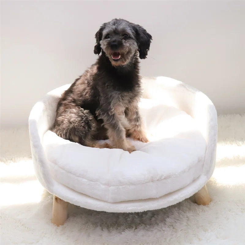 Nott Dog Sofa Cat Sofa Bed with Removeable Padded Cushion