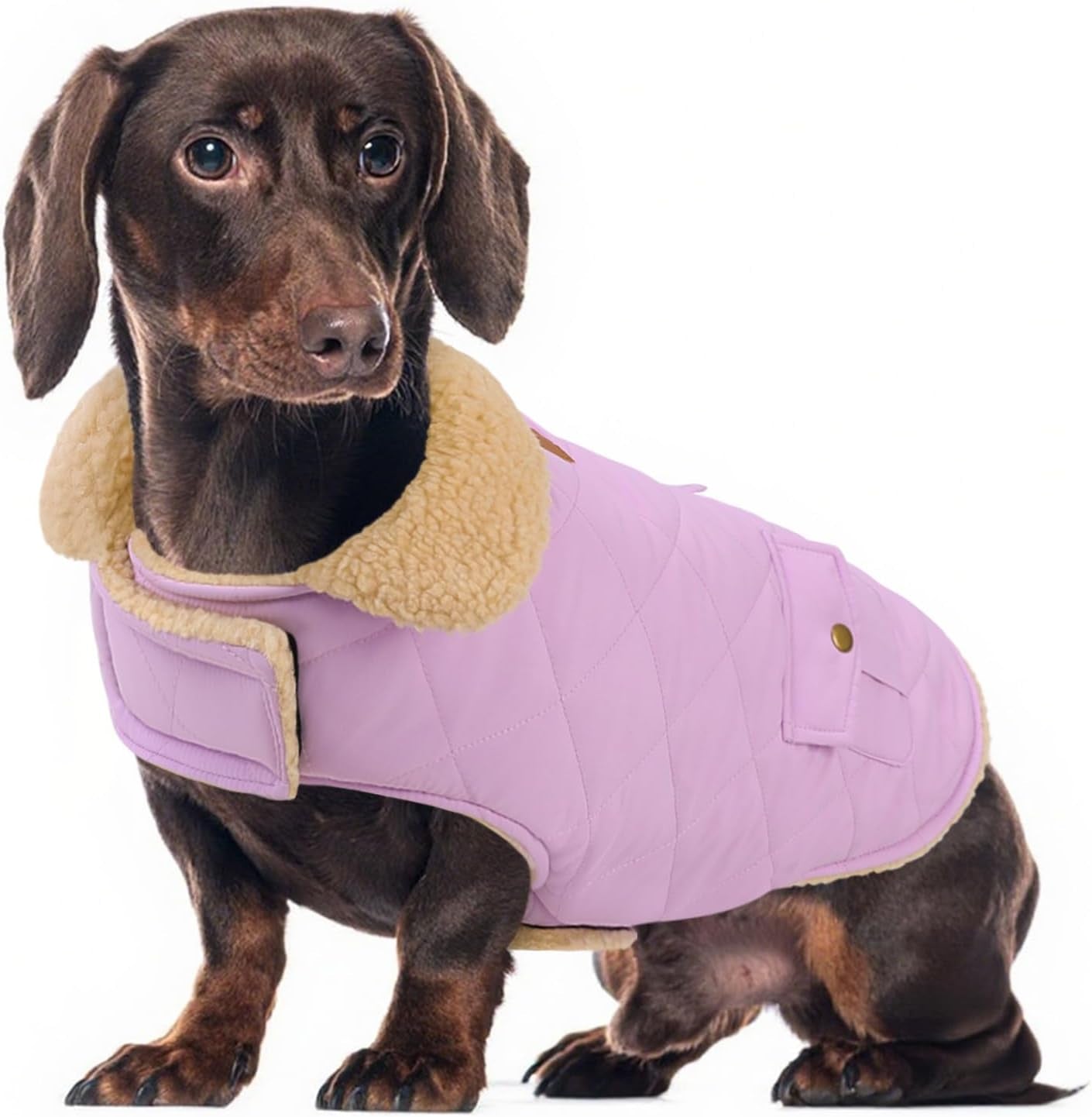 Dog Winter Coat for Small Dogs, Puppy Solid Jacket, Pet Warm Coat for Cold Weather, Windproof Pets Thickened Outfits Garments Indoor Outdoor, Beige XS