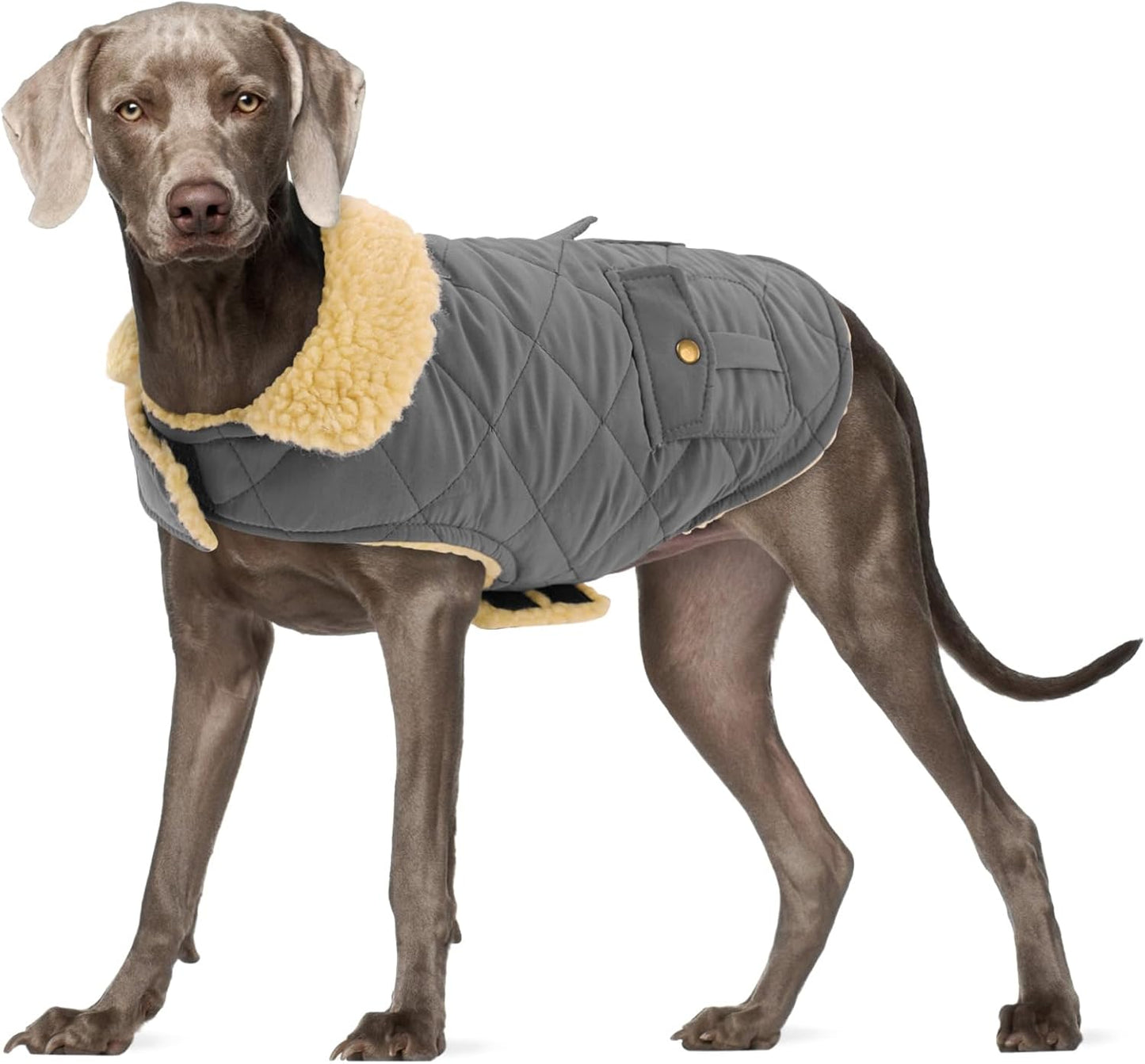 Dog Winter Coat for Small Dogs, Puppy Solid Jacket, Pet Warm Coat for Cold Weather, Windproof Pets Thickened Outfits Garments Indoor Outdoor, Beige XS